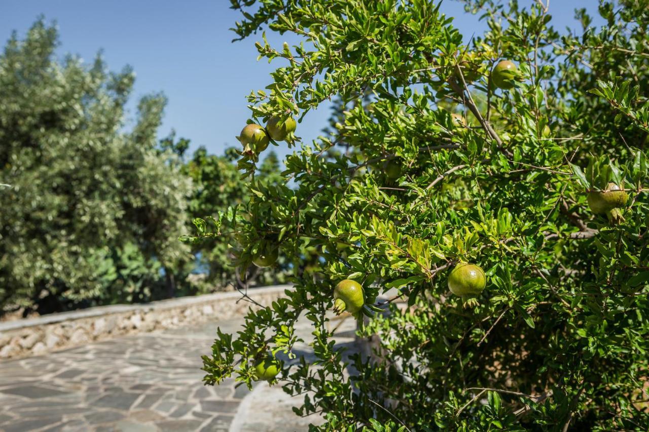 Ploes Luxury Cottages Pesádha Exteriör bild