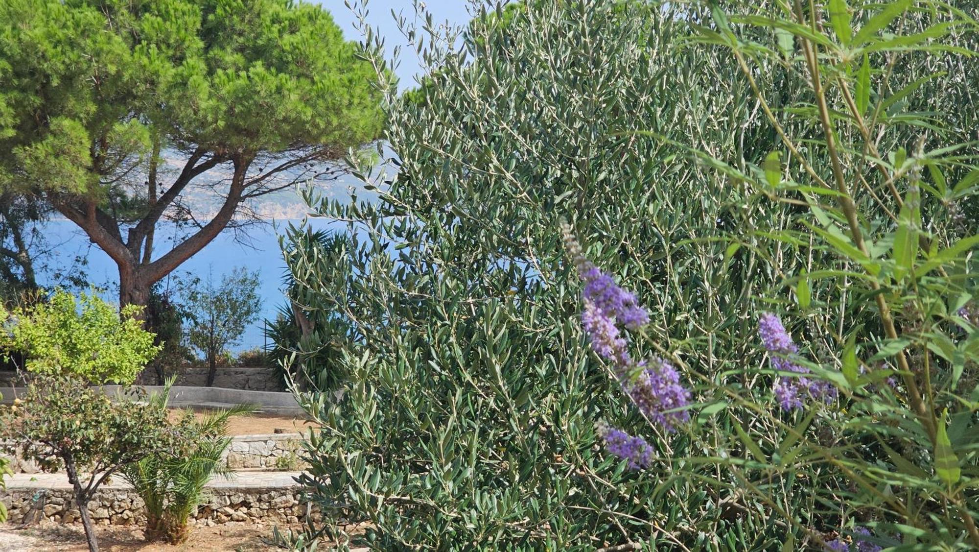 Ploes Luxury Cottages Pesádha Exteriör bild